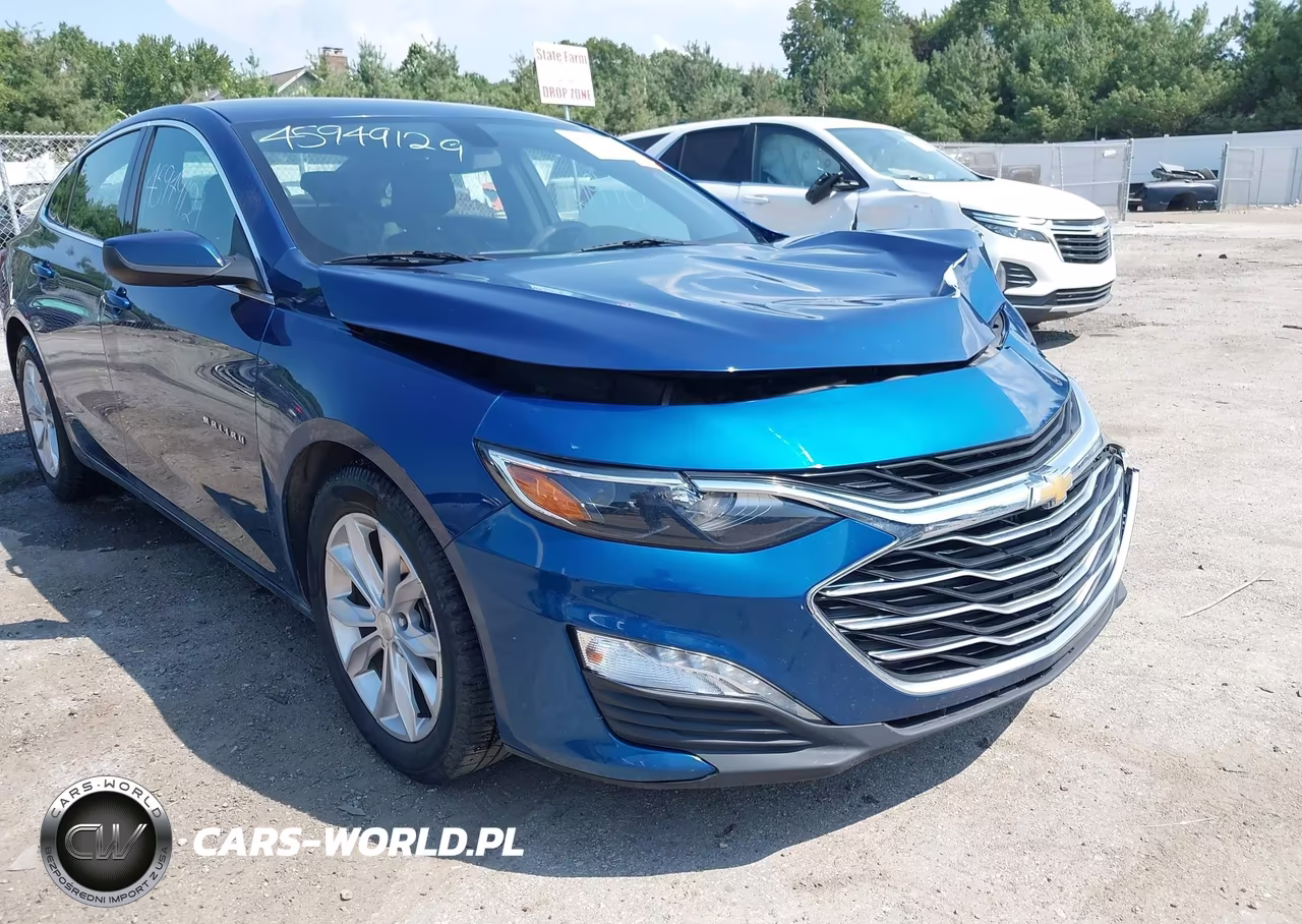 2019 Chevrolet Malibu Lt VIN:1G1ZD5ST1KF172630 - 17