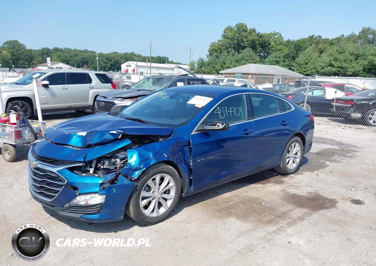 2019 Chevrolet Malibu Lt VIN:1G1ZD5ST1KF172630 - 2
