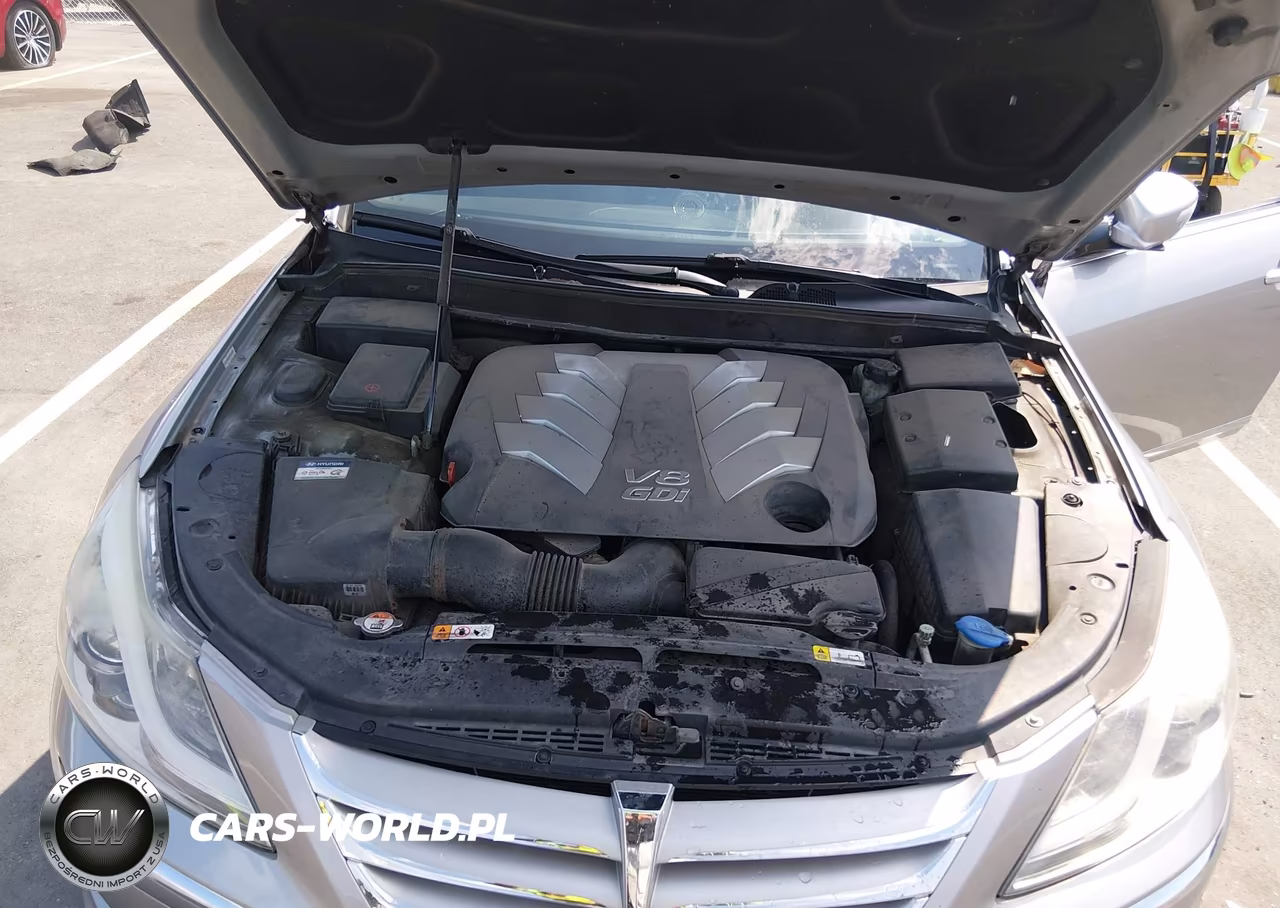 2013 Hyundai Genesis 5.0L VIN:KMHGC4DH3DU241011 - 10
