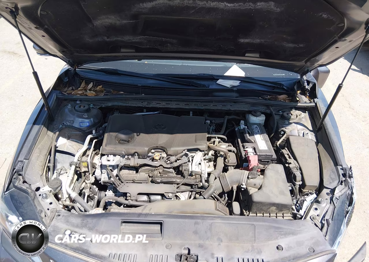 2019 Toyota Camry Se VIN:4T1B11HKXKU251486 - 10