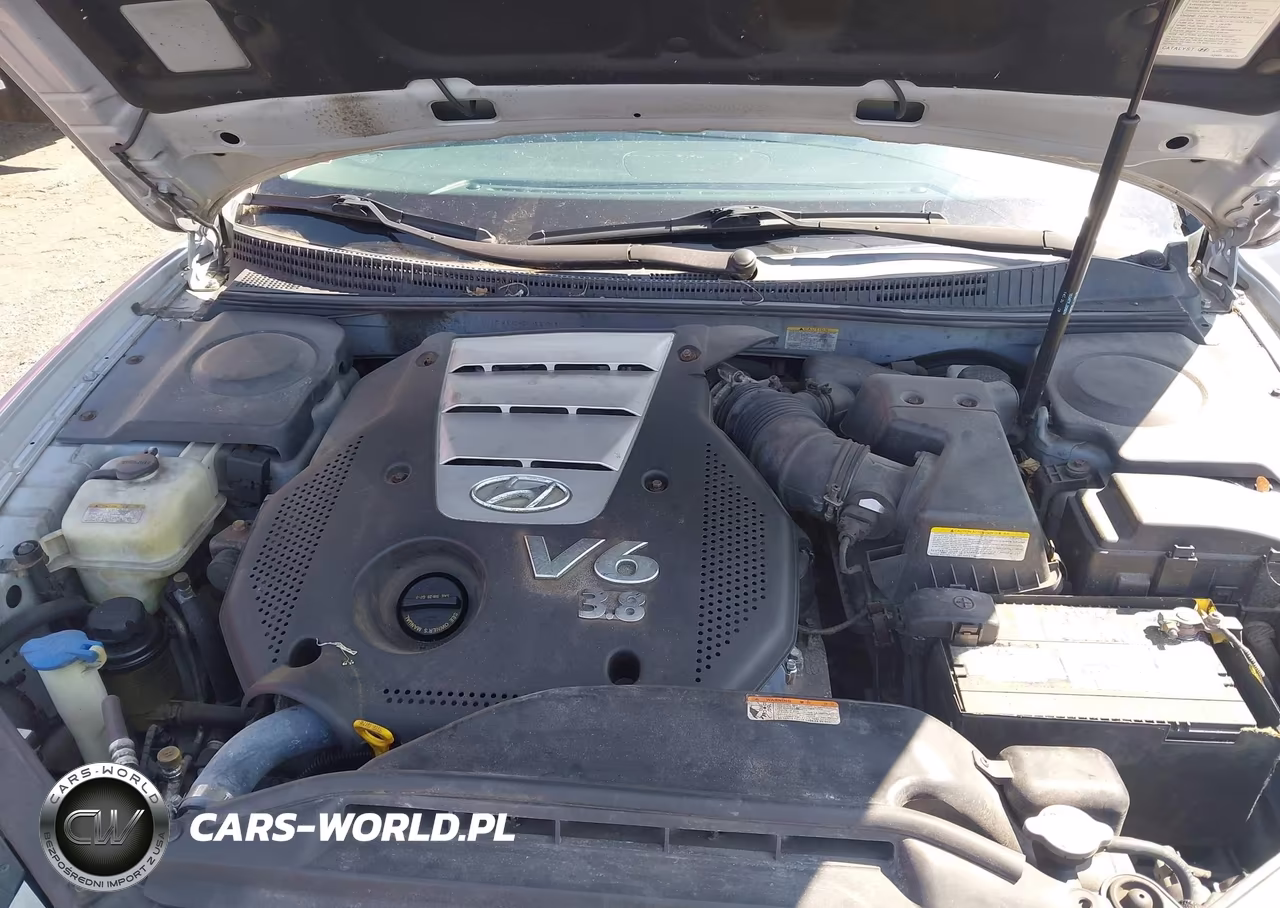 2006 Hyundai Azera Limited-Se VIN:KMHFC46F06A133814 - 10