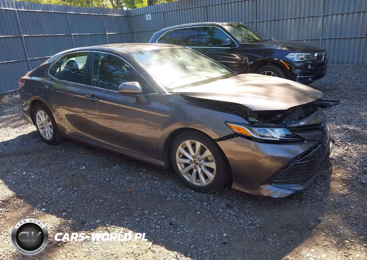 2020 Toyota Camry Le VIN:4T1C11AK9LU966498 - 1