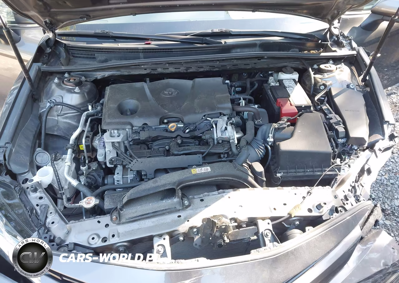 2020 Toyota Camry Le VIN:4T1C11AK9LU966498 - 10
