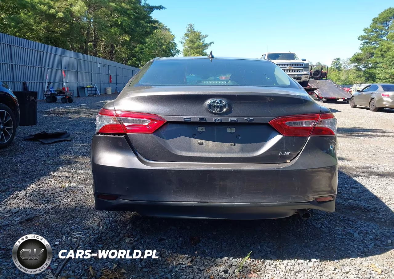 2020 Toyota Camry Le VIN:4T1C11AK9LU966498 - 16