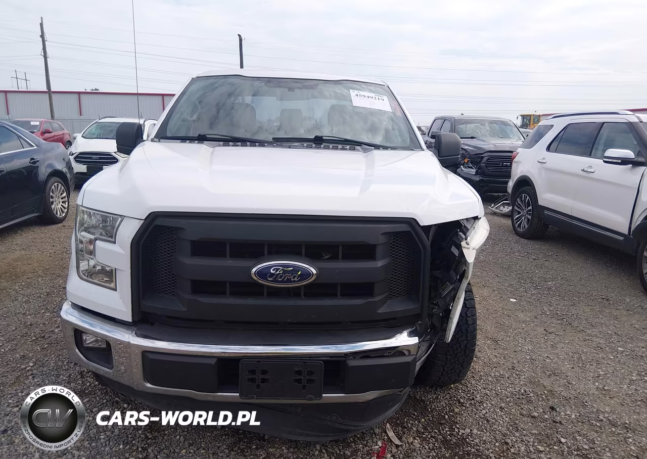 2015 Ford F-150 Xl VIN:1FTEX1CP4FKD46680 - 12