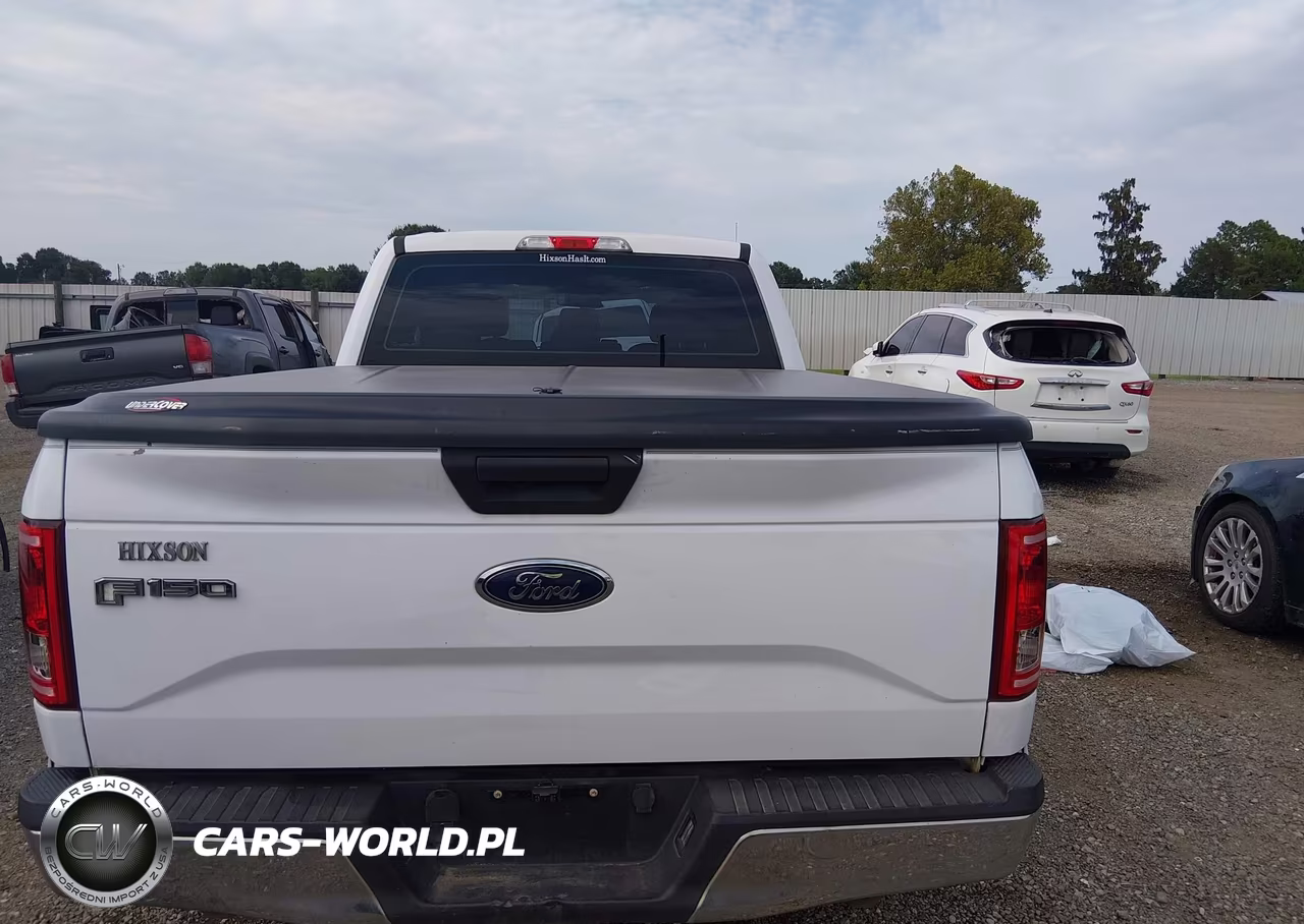 2015 Ford F-150 Xl VIN:1FTEX1CP4FKD46680 - 16