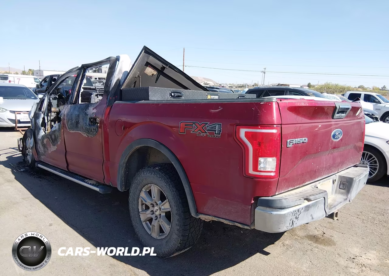 2015 Ford F-150 Xlt VIN:1FTEW1EG9FKD97091 - 3