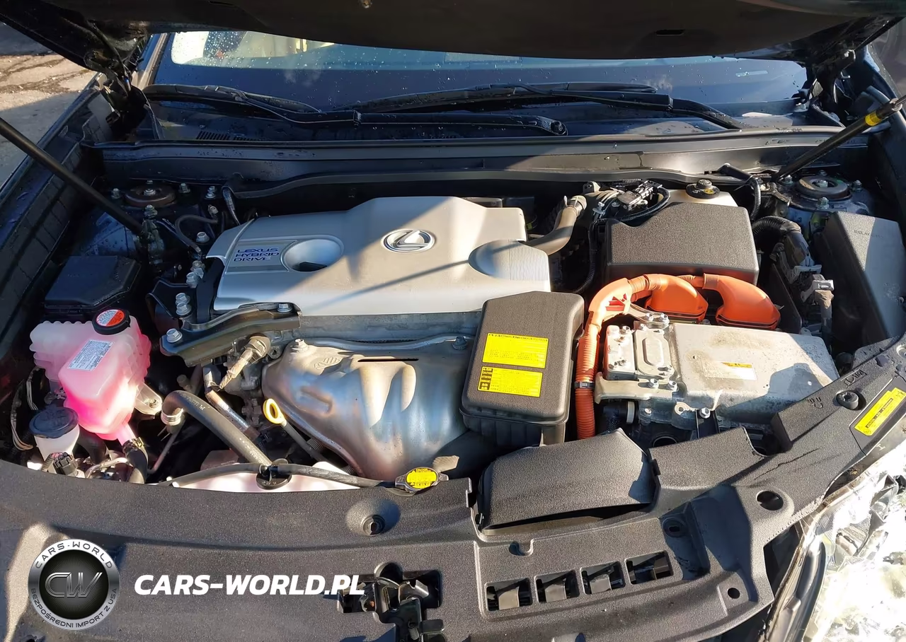 2014 Lexus Es 300H VIN:JTHBW1GG0E2073413 - 10