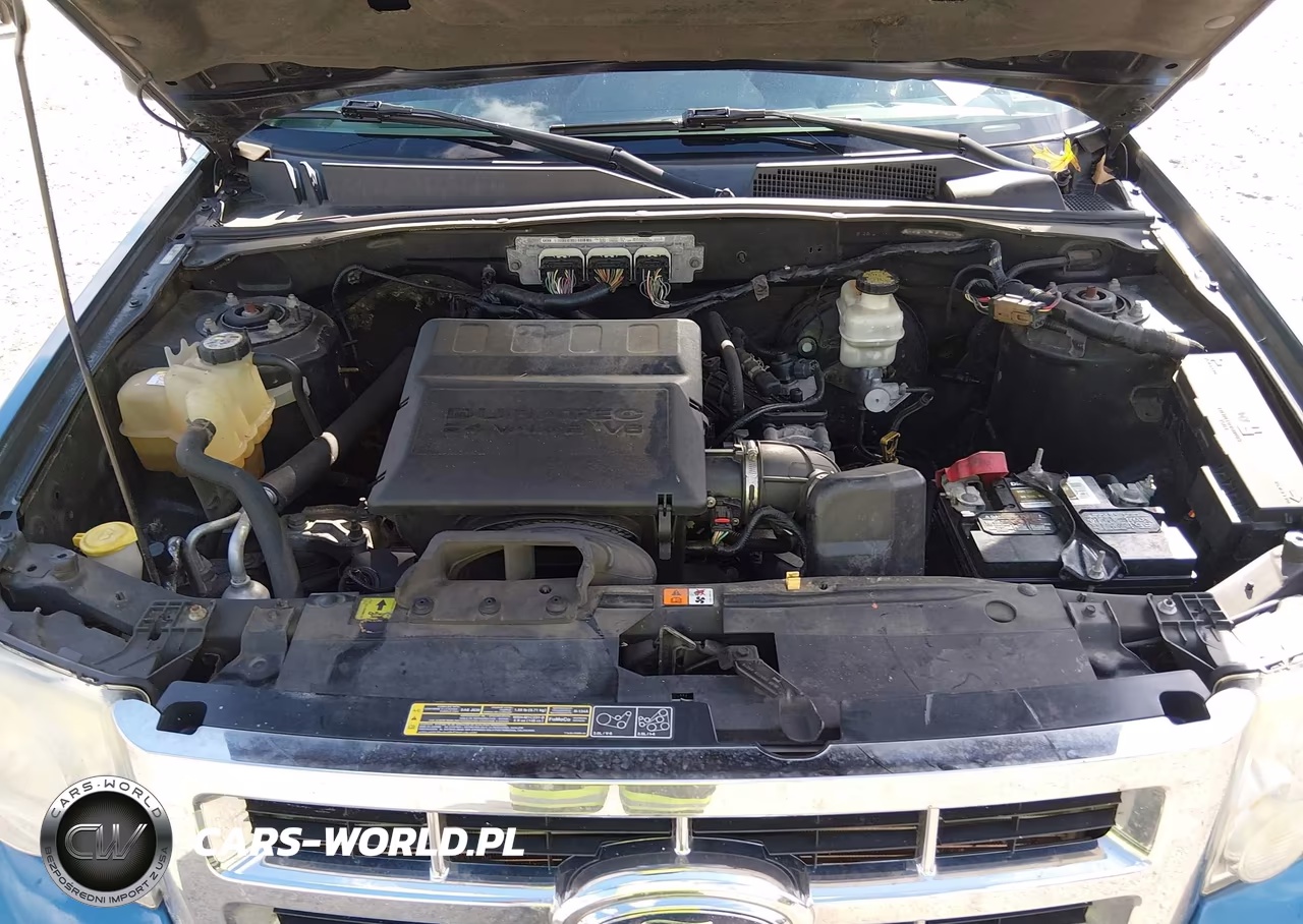 2009 Ford Escape Xlt VIN:1FMCU03G09KD04467 - 10