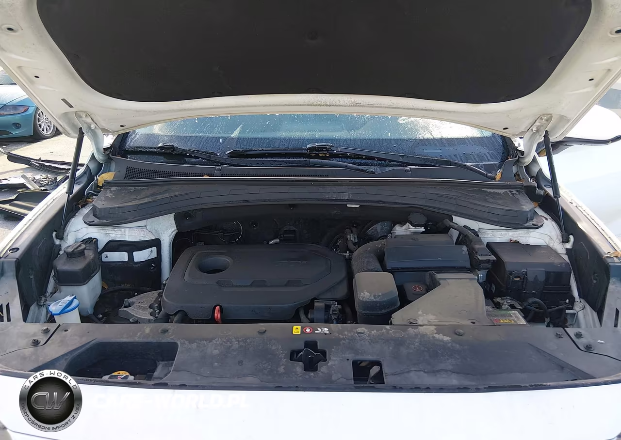 2020 Hyundai Santa Fe Sel VIN:5NMS33AD0LH235957 - 10