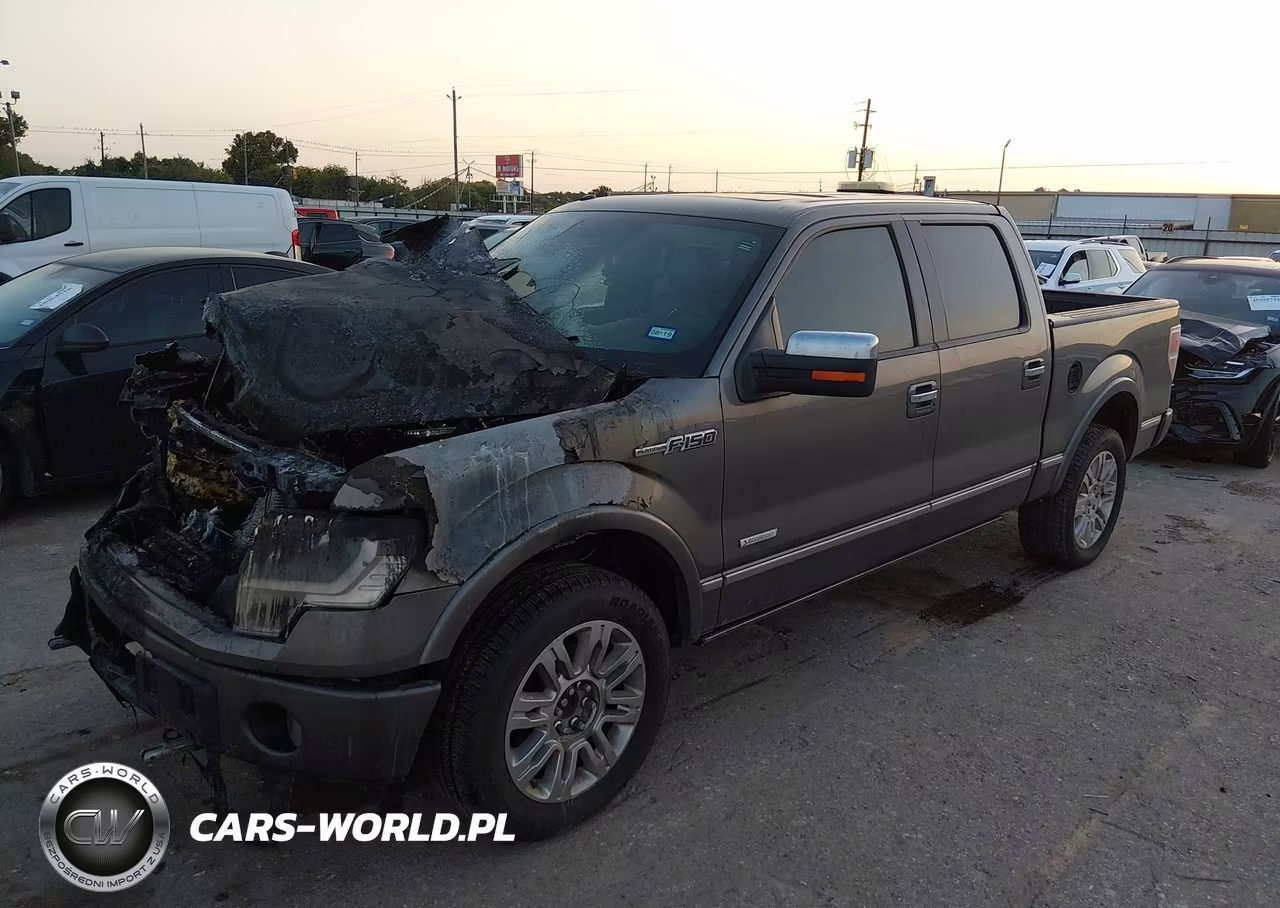2013 Ford F-150 Platinum VIN:1FTFW1ET5DFC87159 - 12
