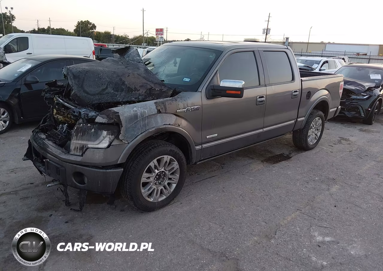 2013 Ford F-150 Platinum VIN:1FTFW1ET5DFC87159 - 2