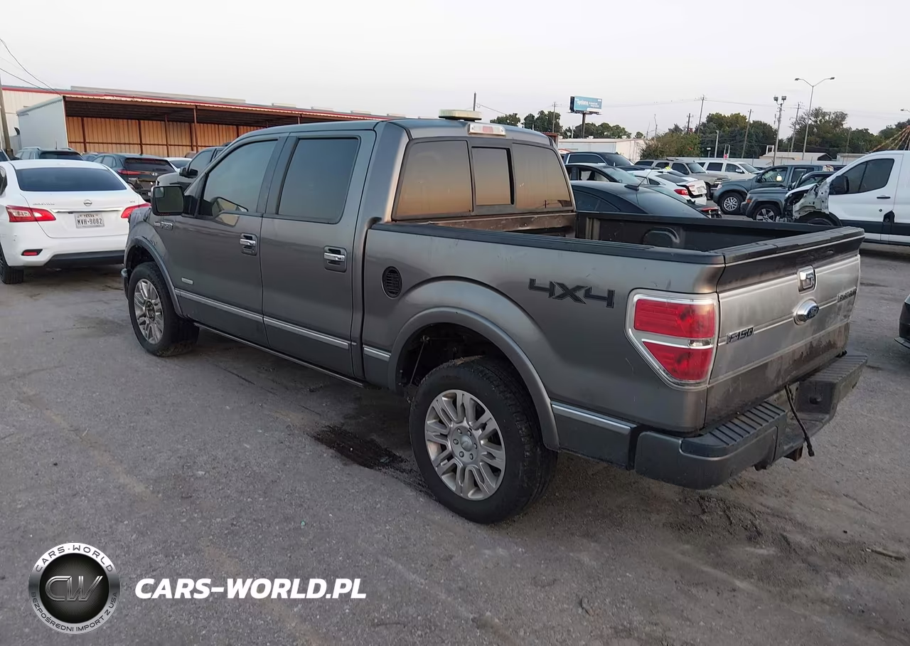 2013 Ford F-150 Platinum VIN:1FTFW1ET5DFC87159 - 3
