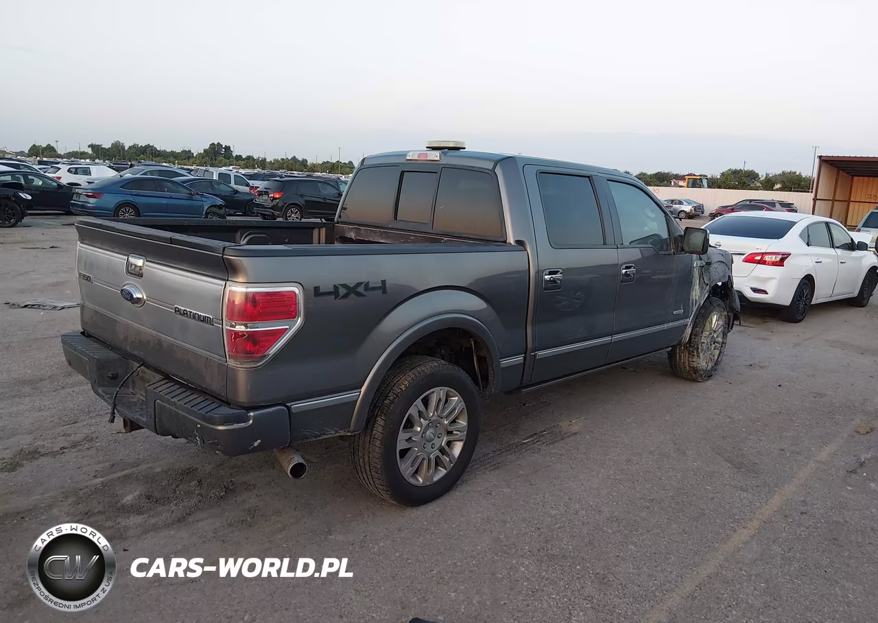 2013 Ford F-150 Platinum VIN:1FTFW1ET5DFC87159 - 4