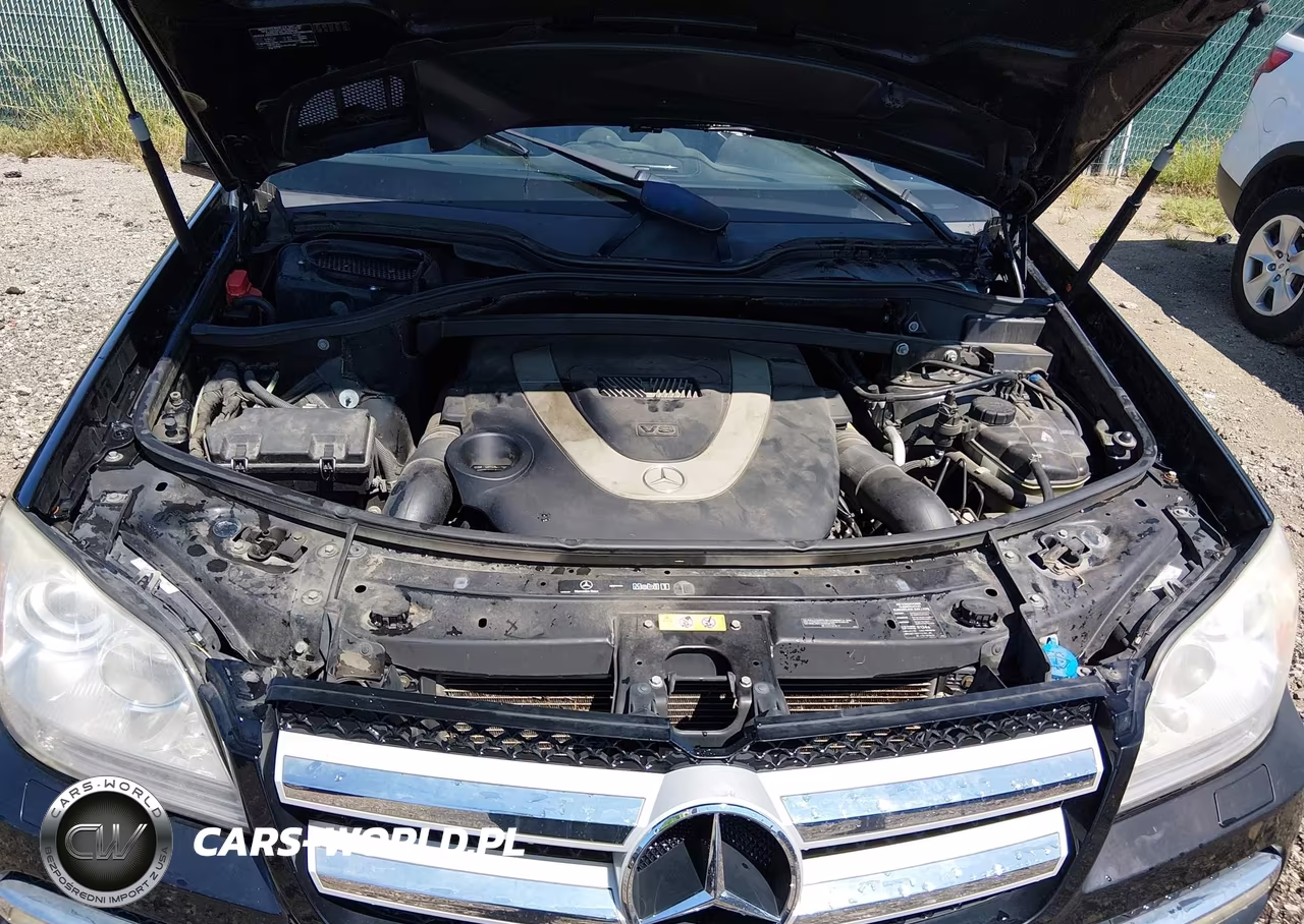 2012 Mercedes-Benz Gl 450 4Matic VIN:4JGBF7BE9CA801657 - 10