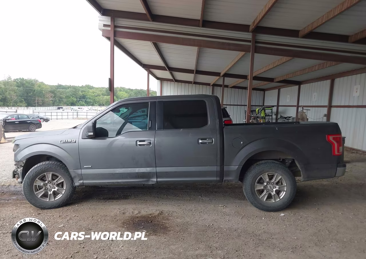 2015 Ford F-150 Xlt VIN:1FTEW1CP2FKE97780 - 15