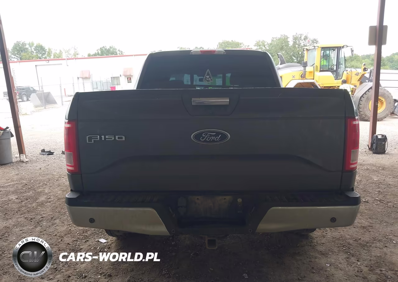 2015 Ford F-150 Xlt VIN:1FTEW1CP2FKE97780 - 17