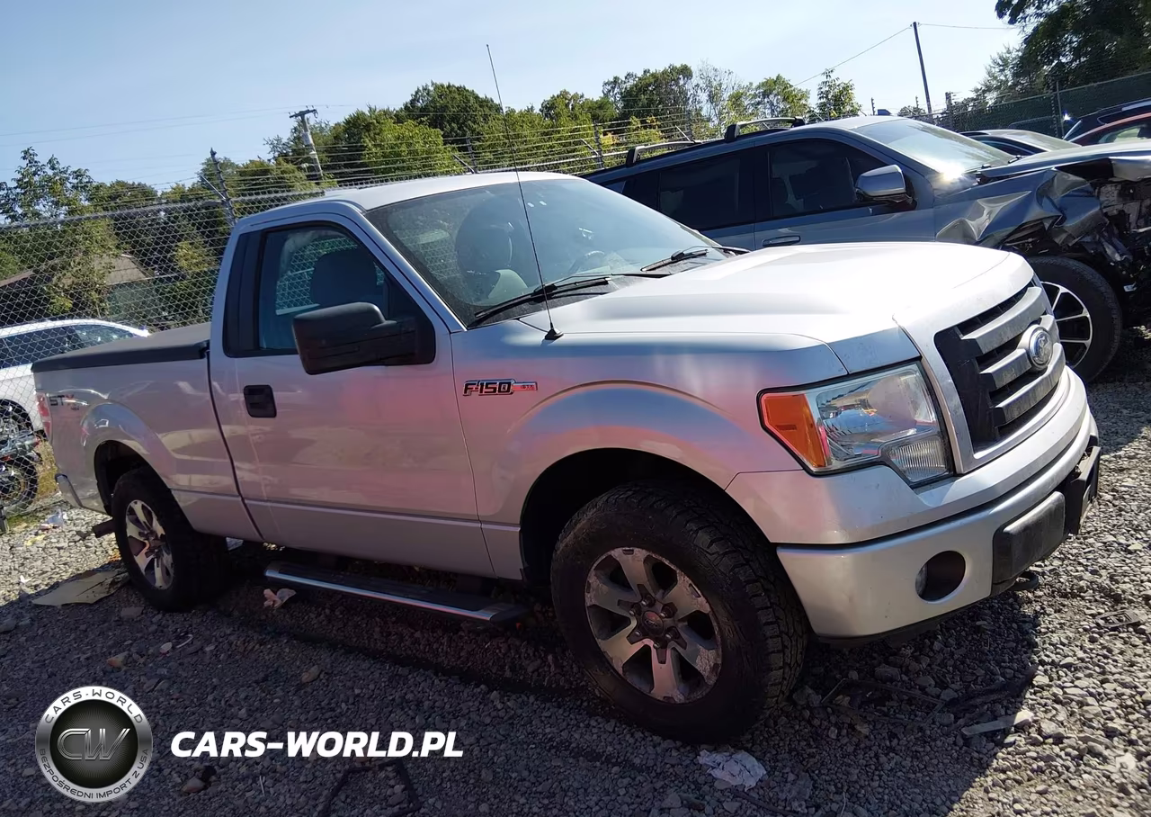 2011 Ford F-150 Stx VIN:1FTMF1EF9BFA71085 - 13