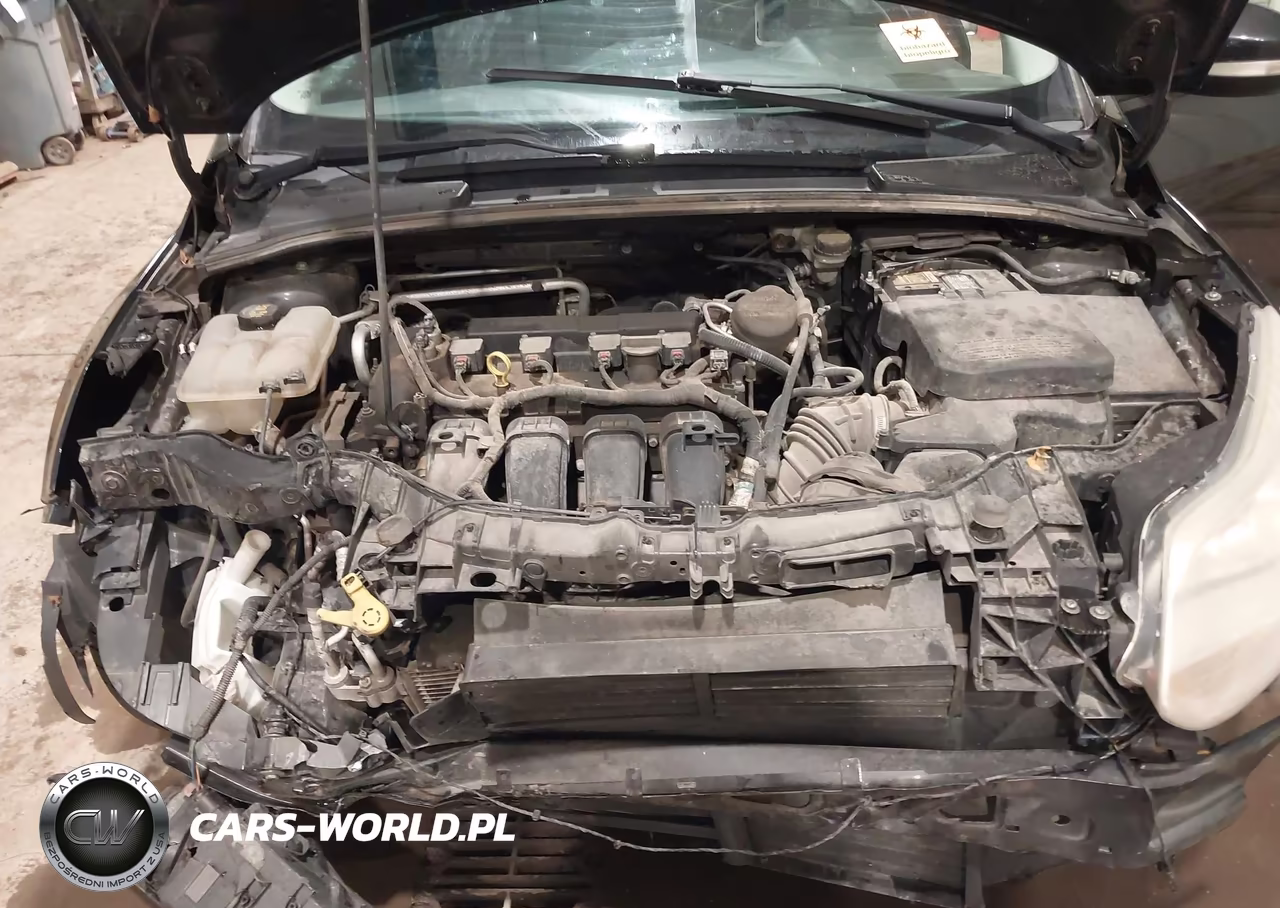 2014 Ford Focus Se VIN:1FADP3K22EL103400 - 10