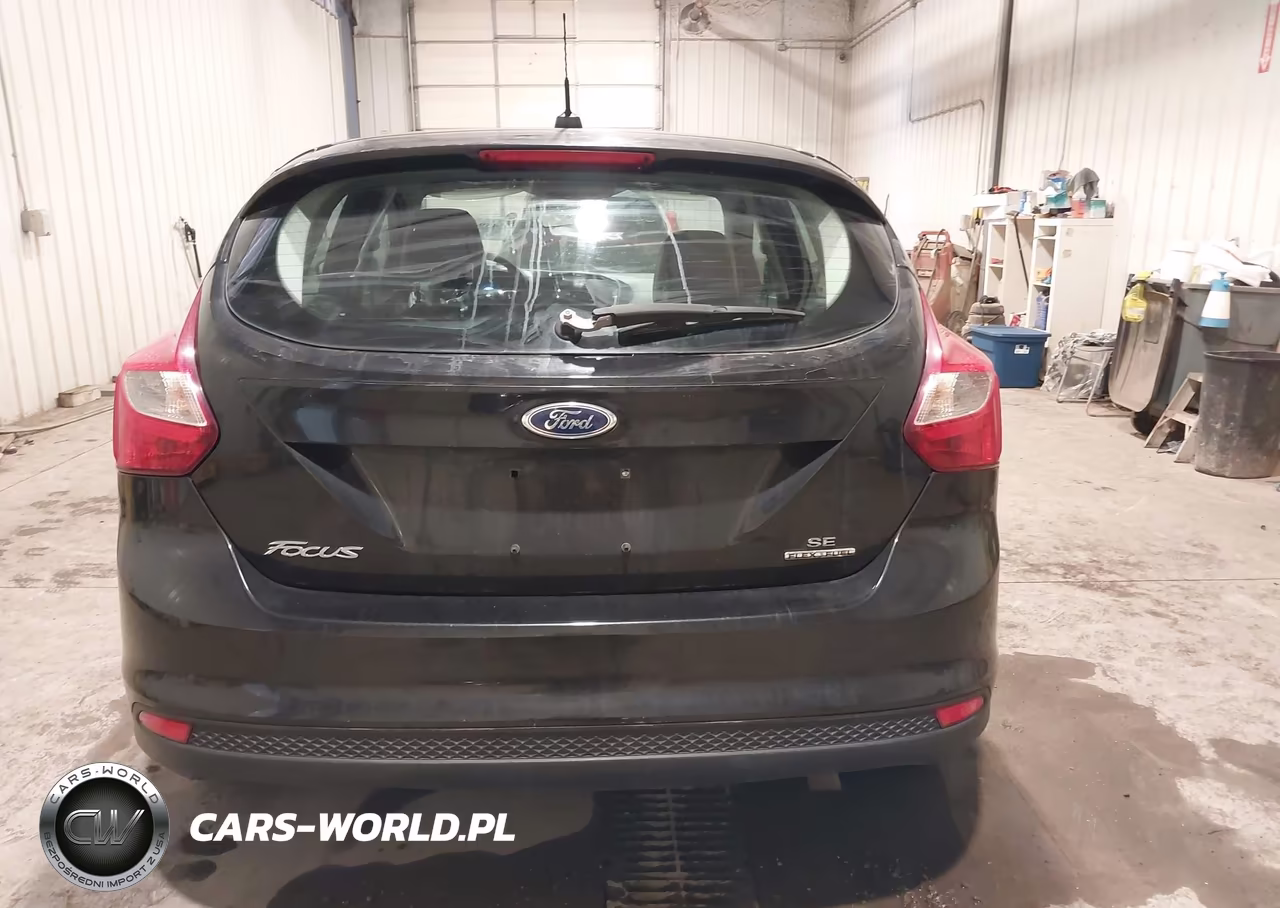 2014 Ford Focus Se VIN:1FADP3K22EL103400 - 17