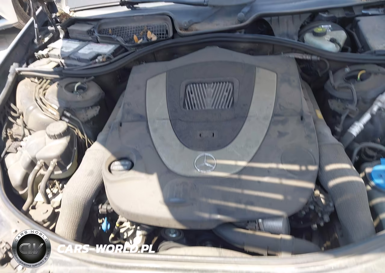 2010 Mercedes-Benz S 550 VIN:WDDNG7BB8AA304803 - 10