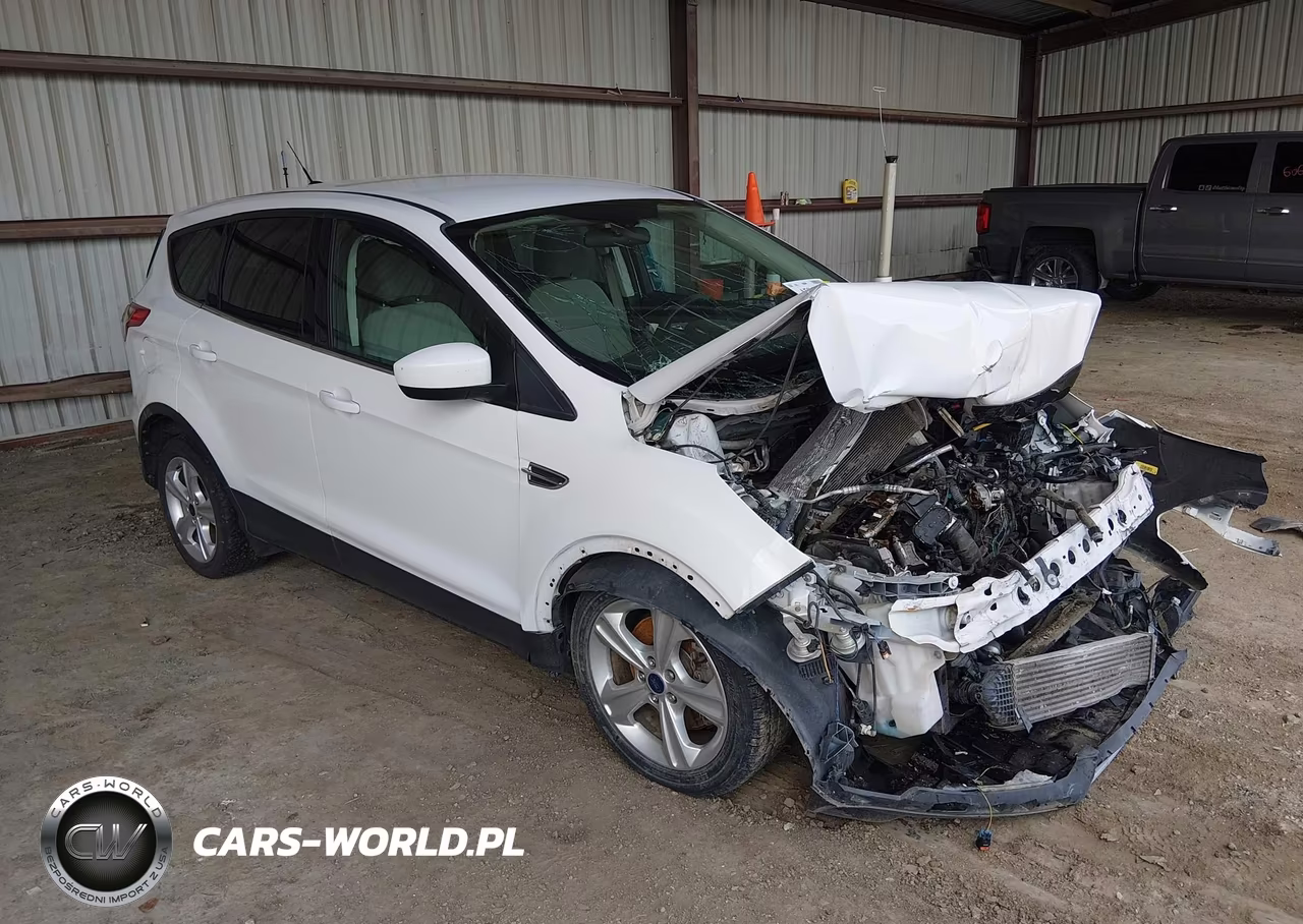 2013 Ford Escape Se