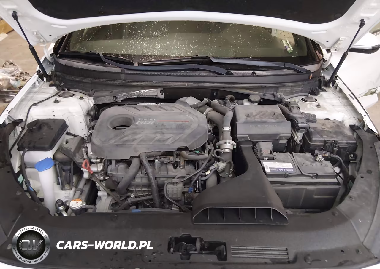2019 Hyundai Sonata Limited 2.0T VIN:5NPE34AB9KH762575 - 10
