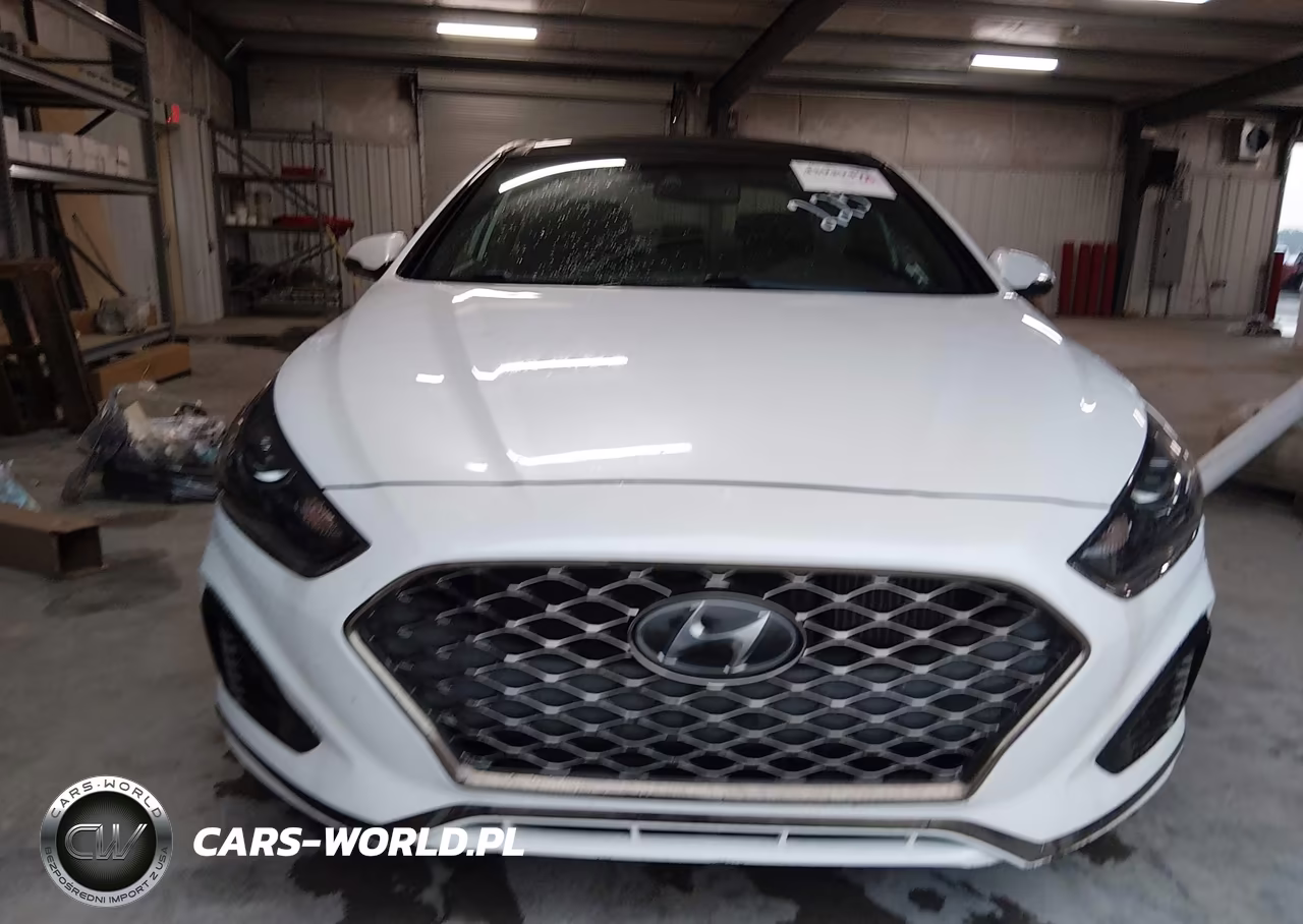 2019 Hyundai Sonata Limited 2.0T VIN:5NPE34AB9KH762575 - 12