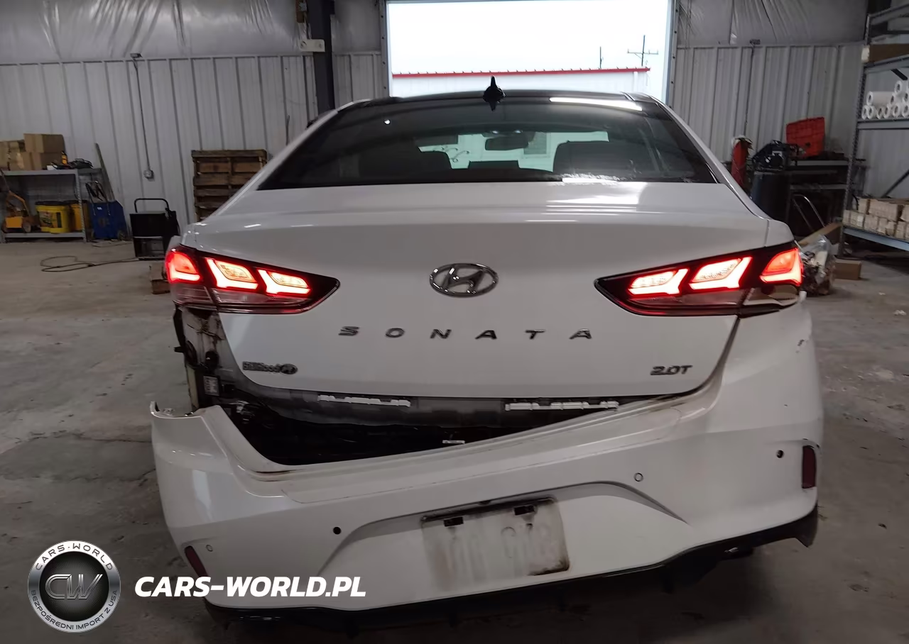 2019 Hyundai Sonata Limited 2.0T VIN:5NPE34AB9KH762575 - 16