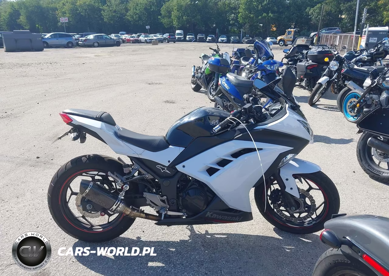 2014 Kawasaki Ex300 B VIN:JKAEX8B18EA006274 - 12