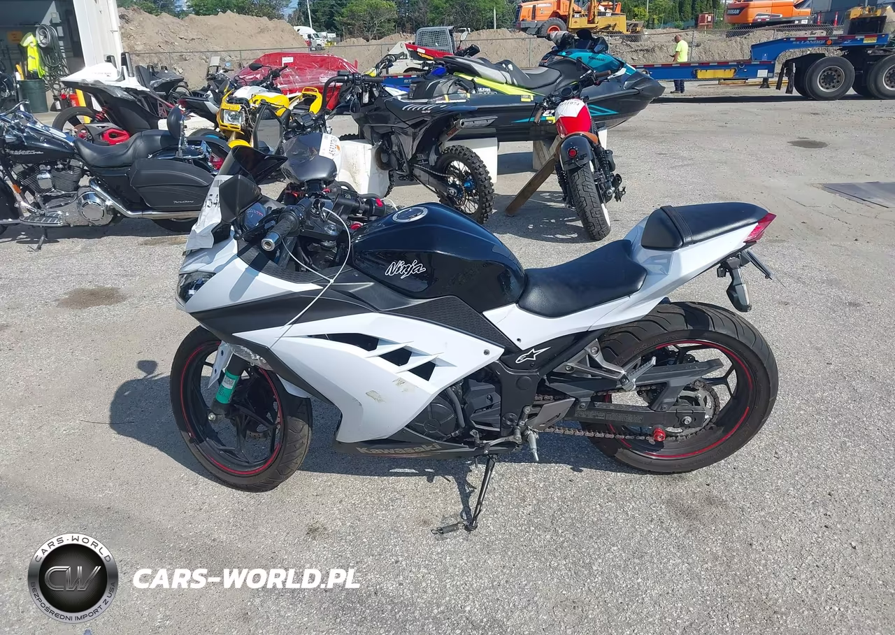 2014 Kawasaki Ex300 B VIN:JKAEX8B18EA006274 - 13