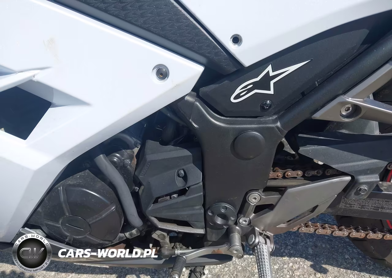 2014 Kawasaki Ex300 B VIN:JKAEX8B18EA006274 - 9