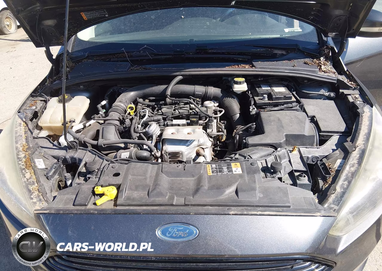 2017 Ford Focus Se VIN:1FADP3FE3HL292731 - 10
