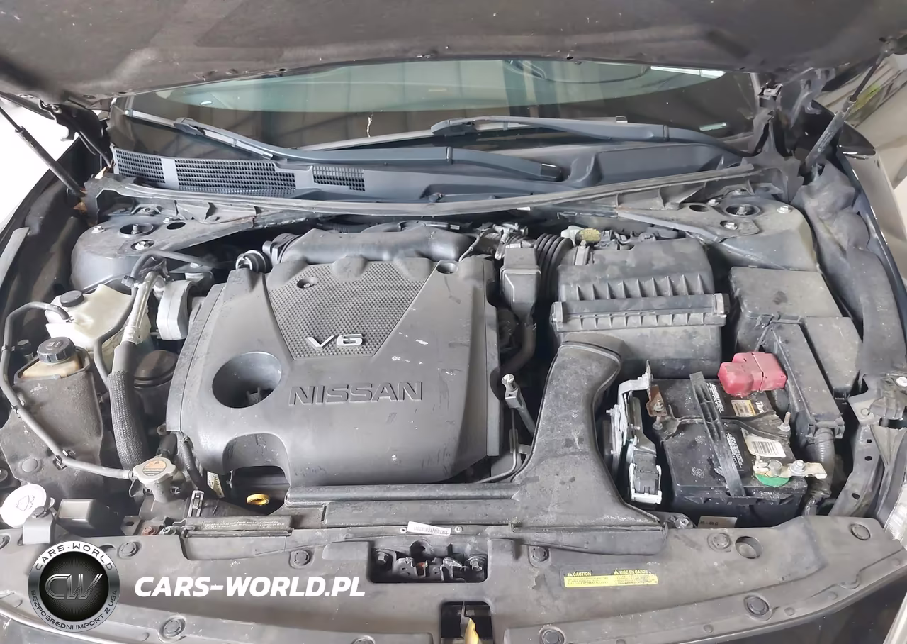 2018 Nissan Maxima 3.5 Platinum VIN:1N4AA6AP3JC369702 - 10