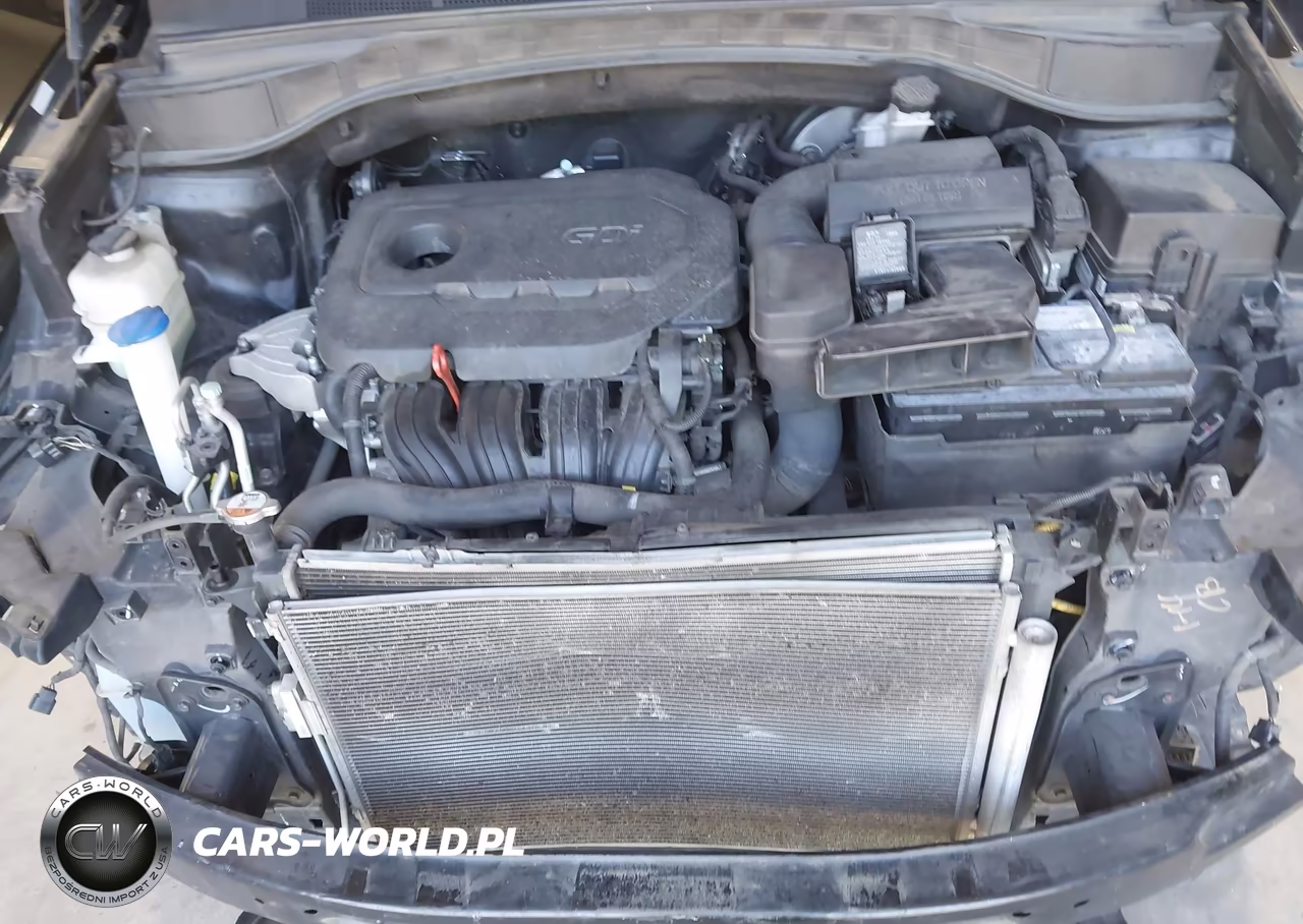 2017 Hyundai Santa Fe Sport 2.4L VIN:5XYZU3LB4HG384753 - 10
