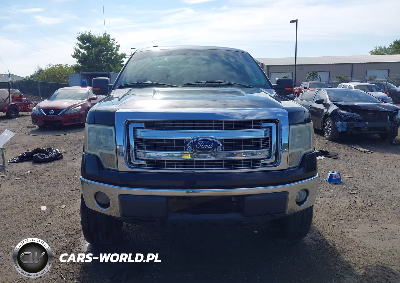 2014 Ford F-150 Xlt VIN:1FTFW1EF9EFB67375 - 12