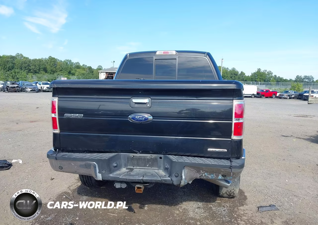 2014 Ford F-150 Xlt VIN:1FTFW1EF9EFB67375 - 16