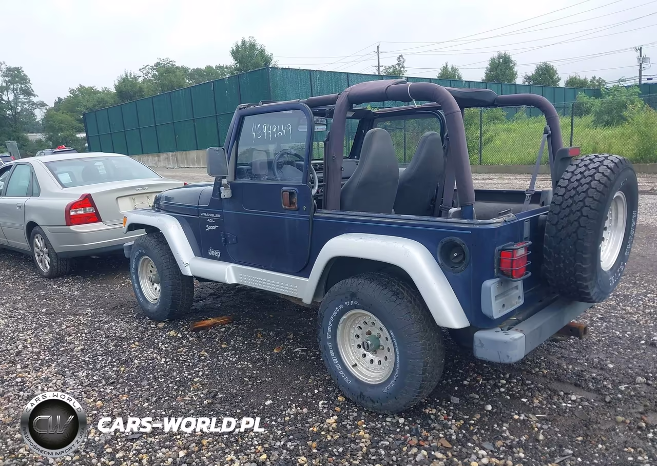 2000 Jeep Wrangler Sport VIN:1J4FA49S0YP721175 - 3