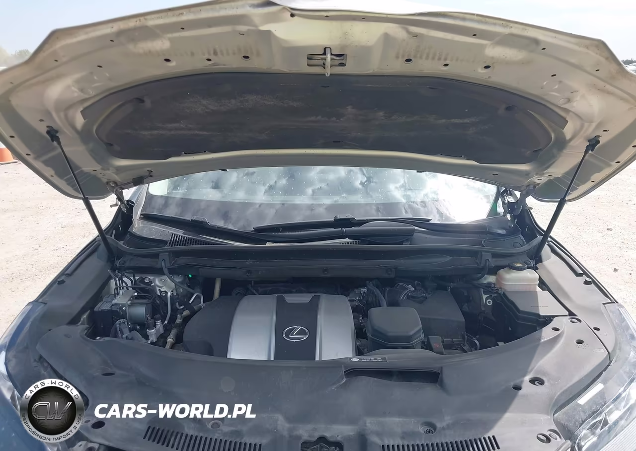 2020 Lexus Rx 350 VIN:2T2JZMAA4LC152734 - 10