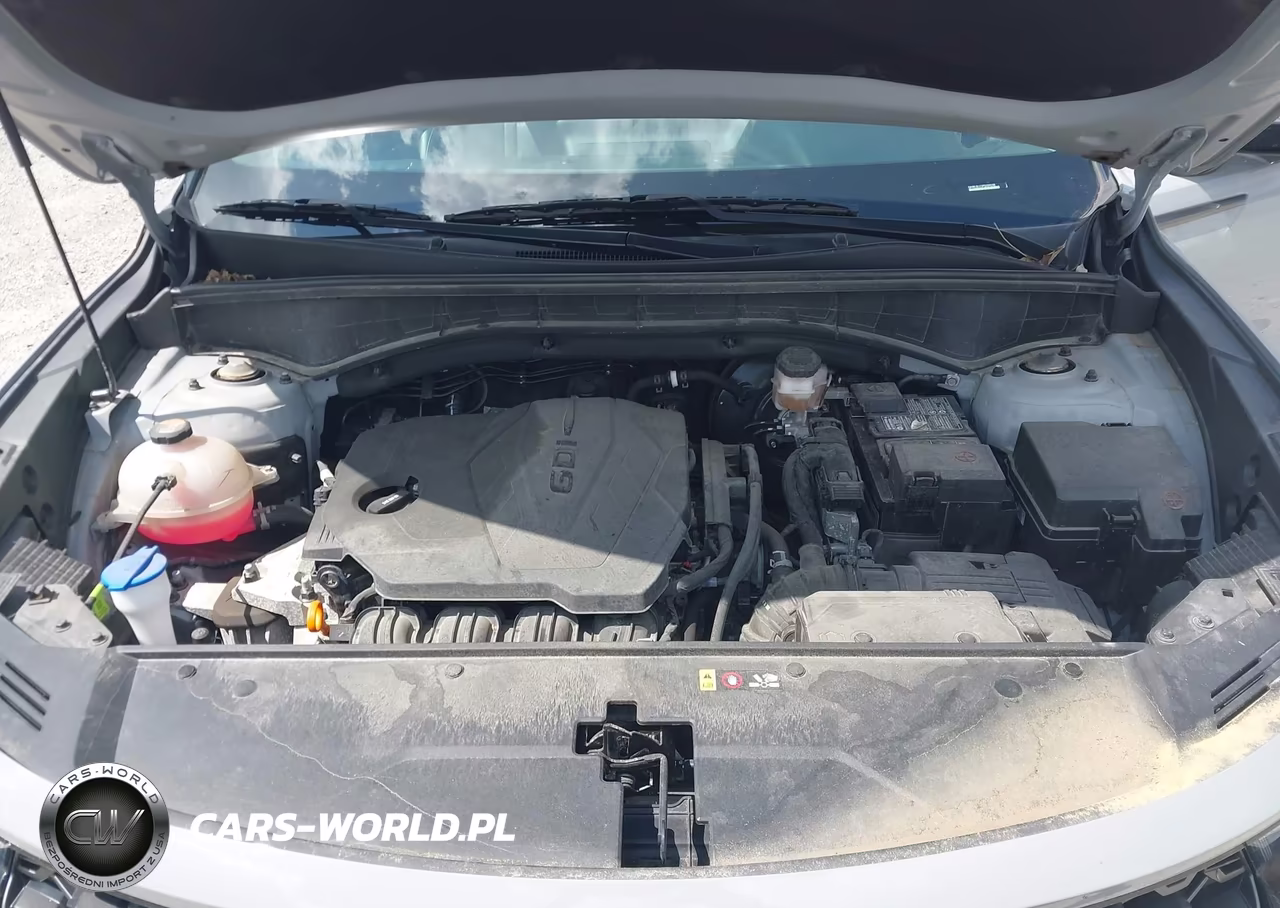 2023 Kia Sorento X-Line S VIN:5XYRLDLC1PG203530 - 10