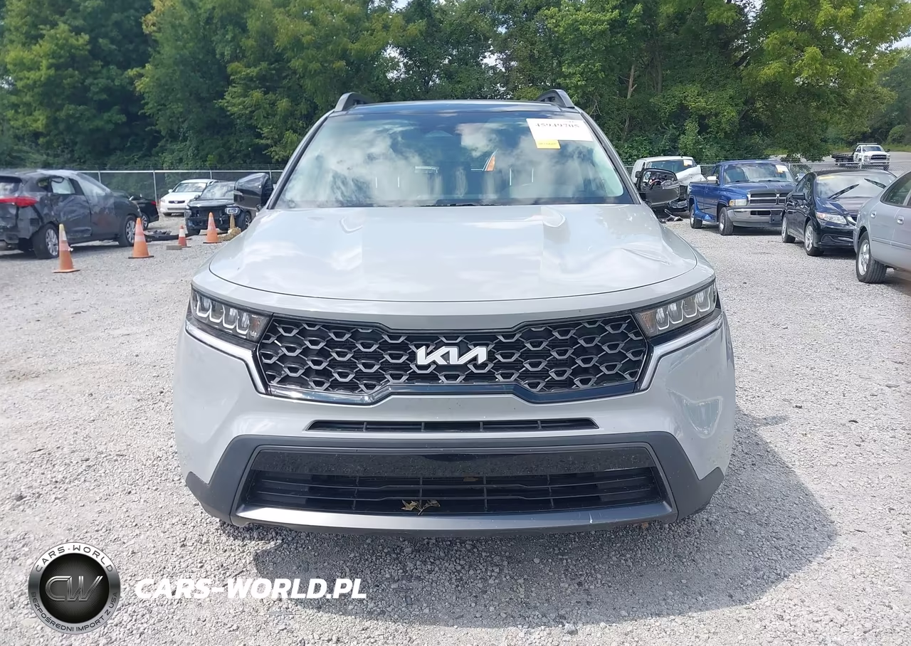 2023 Kia Sorento X-Line S VIN:5XYRLDLC1PG203530 - 12