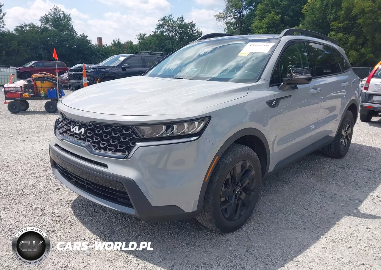 2023 Kia Sorento X-Line S VIN:5XYRLDLC1PG203530 - 2