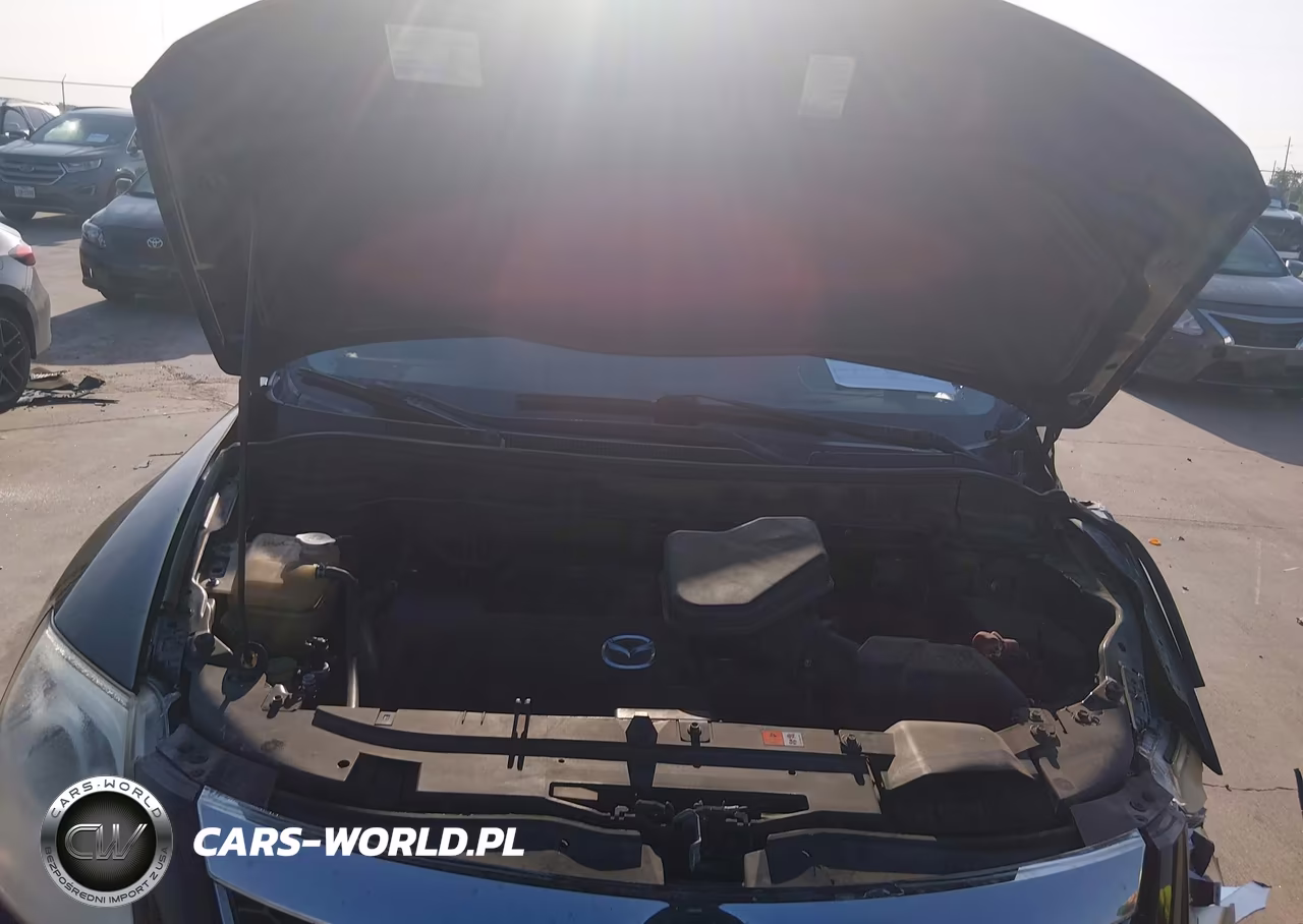 2012 Mazda Cx-9 Touring VIN:JM3TB2CA6C0338778 - 10
