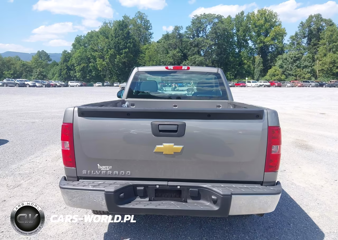 2013 Chevrolet Silverado 1500 Work Truck VIN:1GCNCPEX6DZ351167 - 17