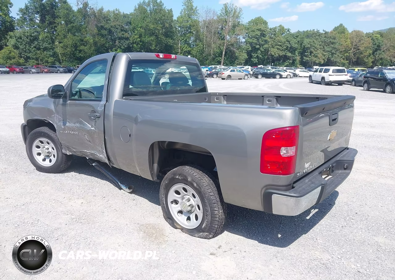 2013 Chevrolet Silverado 1500 Work Truck VIN:1GCNCPEX6DZ351167 - 3