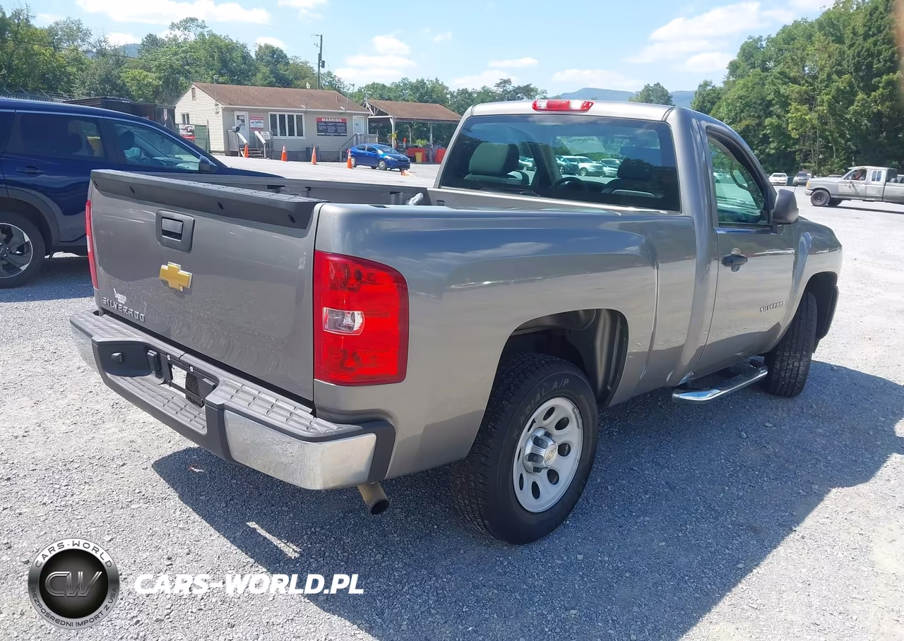 2013 Chevrolet Silverado 1500 Work Truck VIN:1GCNCPEX6DZ351167 - 4