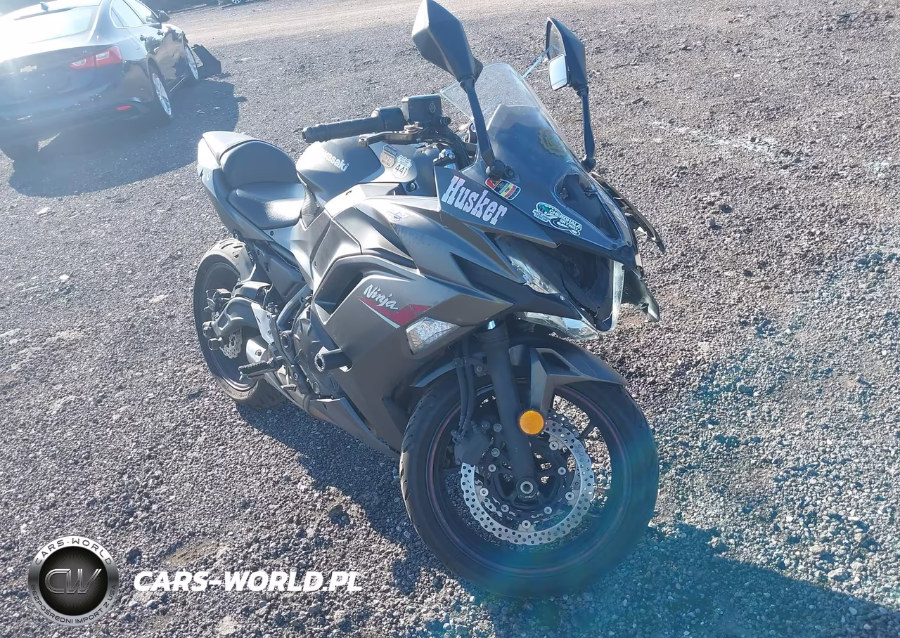 2022 Kawasaki Ex650 N – zdjęcie 1 z 13