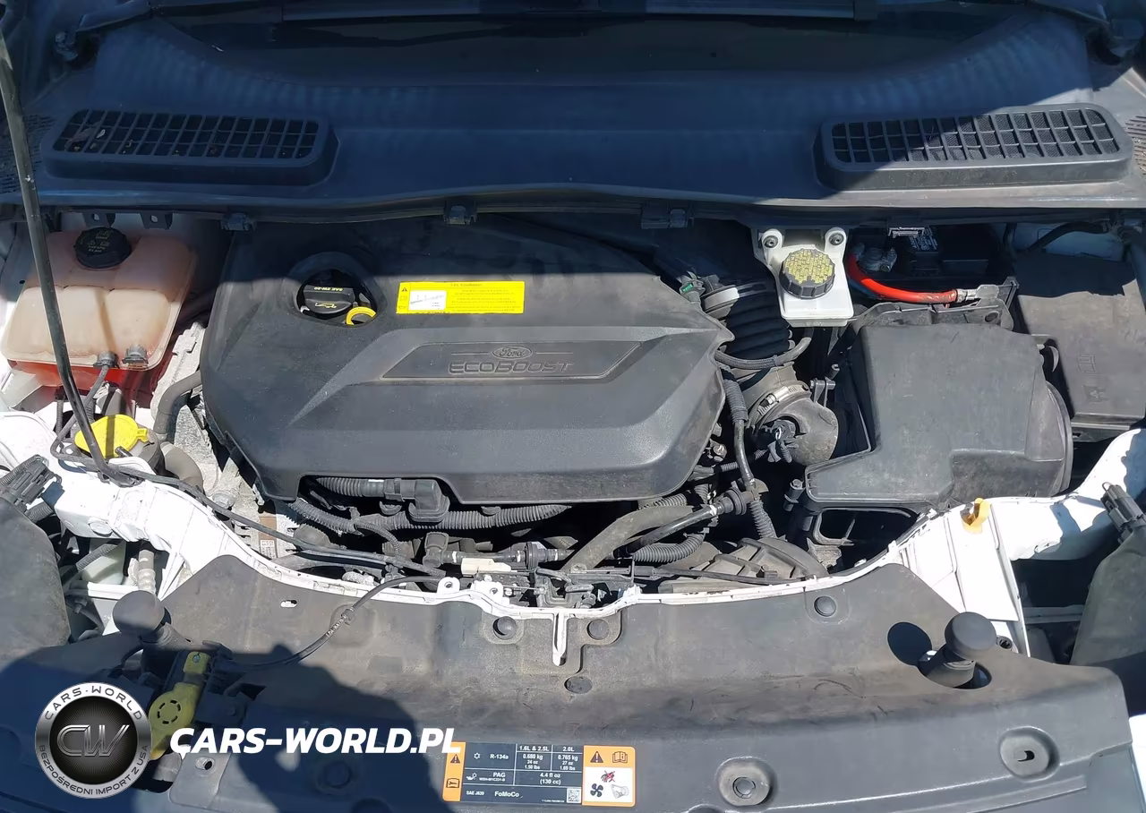 2015 Ford Escape Se VIN:1FMCU0GX8FUB59964 - 10