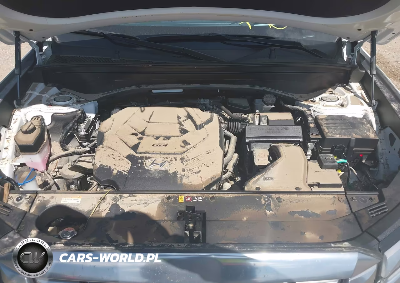 2025 Hyundai Palisade Calligraphy VIN:KM8R7DGE2SU887264 - 10