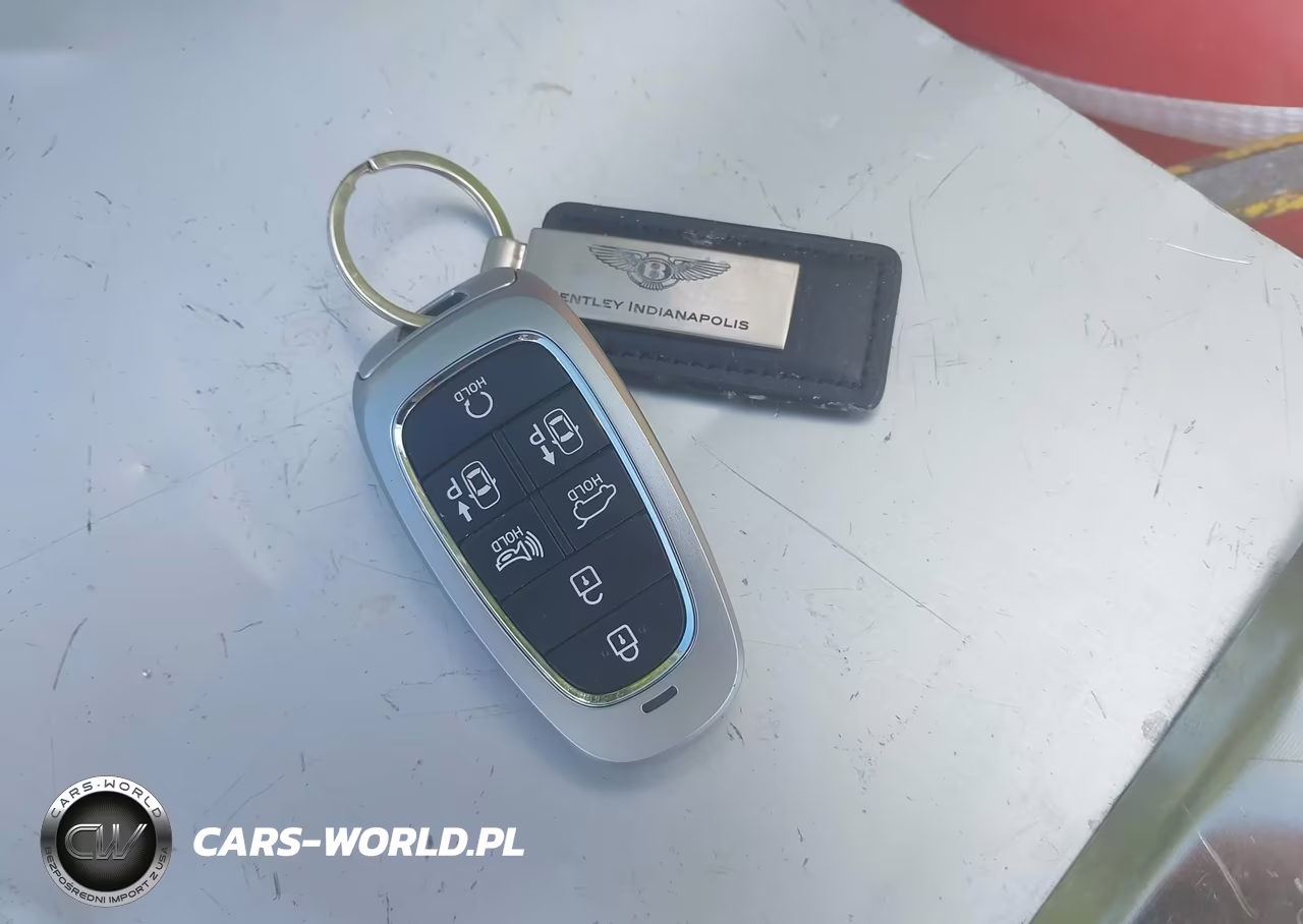 2025 Hyundai Palisade Calligraphy VIN:KM8R7DGE2SU887264 - 11